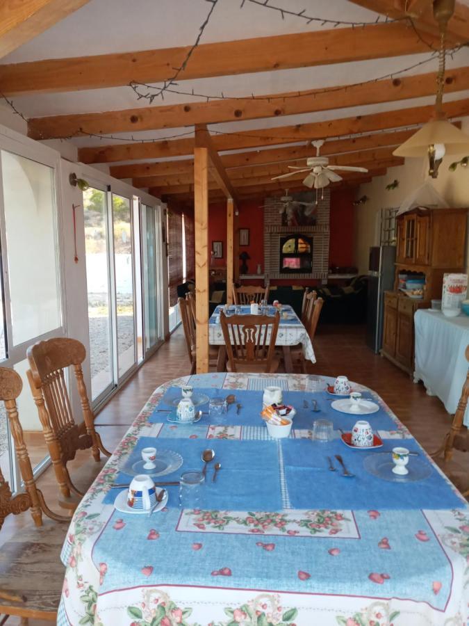 Recovery Mountain Homestay Alicante Exterior photo